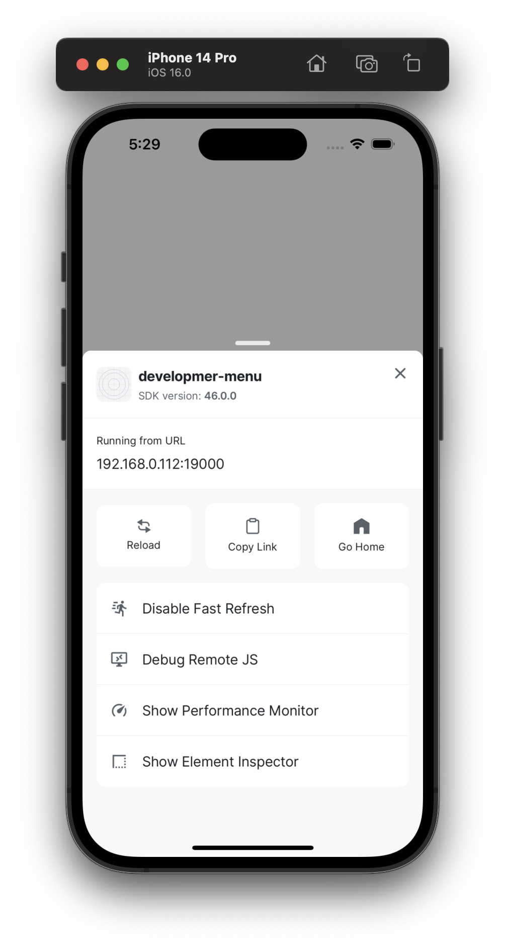 The Expo Go Developer Menu, showing the menu options available.
