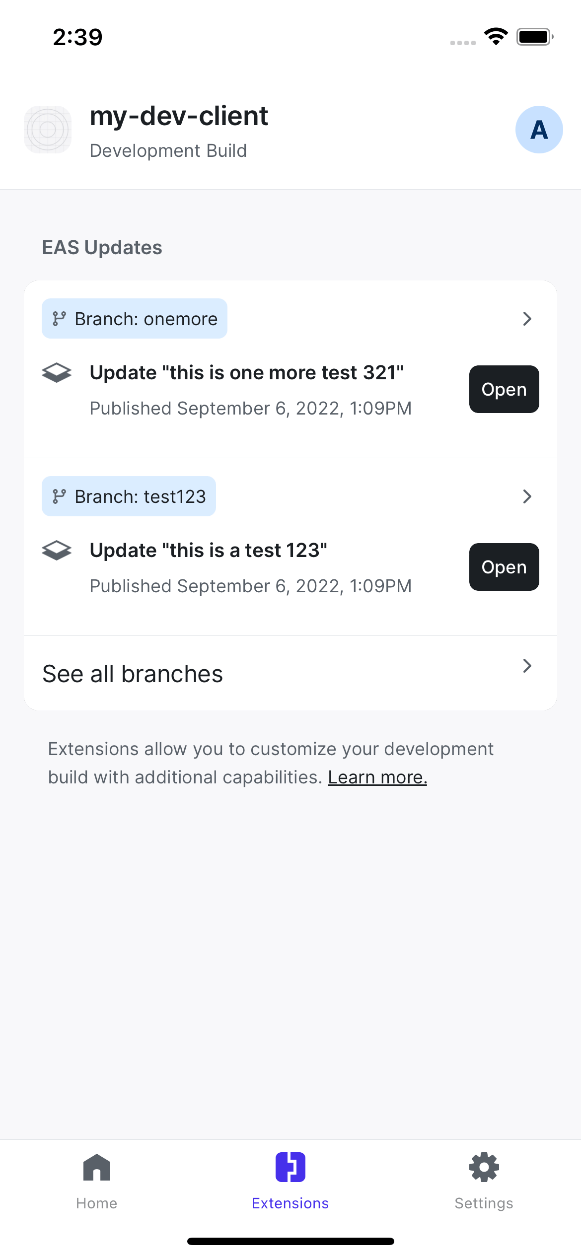 Extensions tab in the Expo dev client.